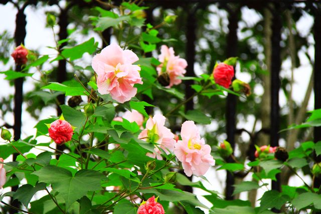 照片 034.jpg