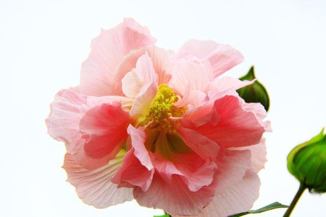 照片 042.jpg