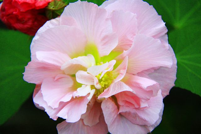 照片 039.jpg