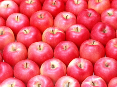 TN_060801apple01.JPG
