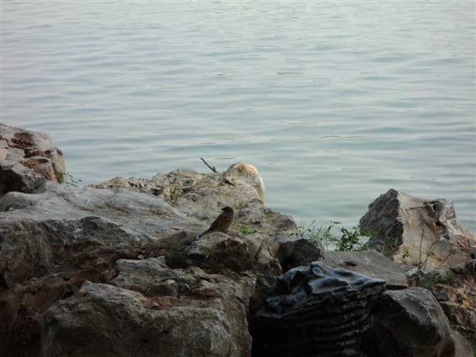 http_imgloadCA2L25GV.jpg