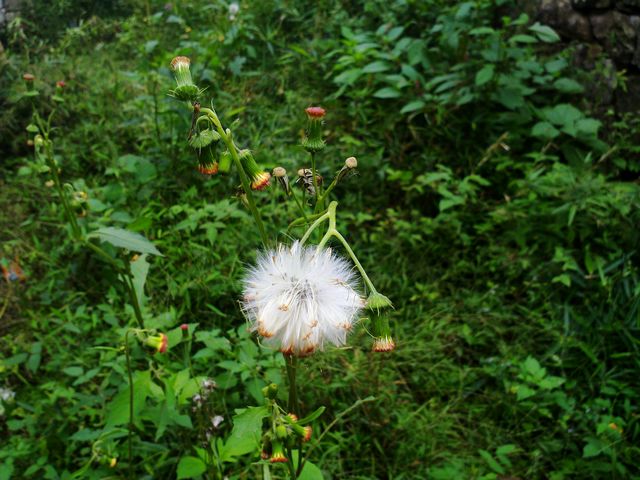 20101030853.jpg