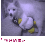 64891491_15579396_middle.gif