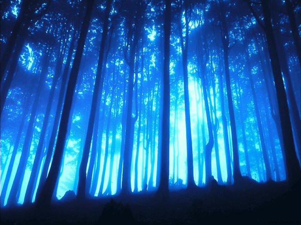 200706040005.jpg