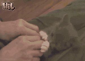 40b76a5097c91857853524b6.gif