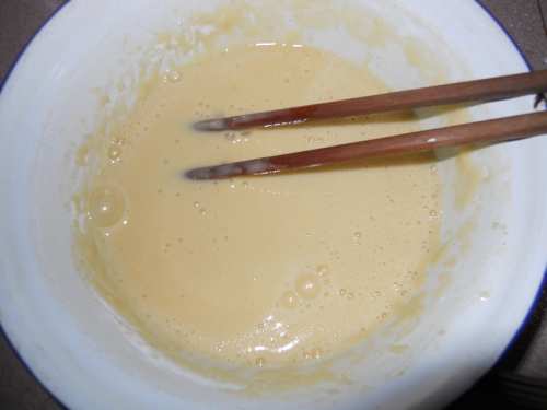DSCN0839_conew1.jpg