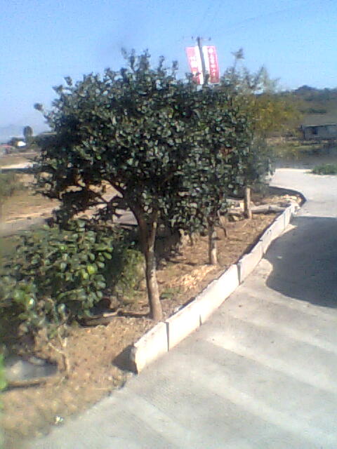 图像0861.jpg
