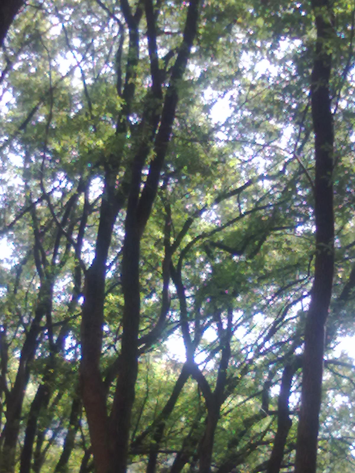 20101112260.jpg