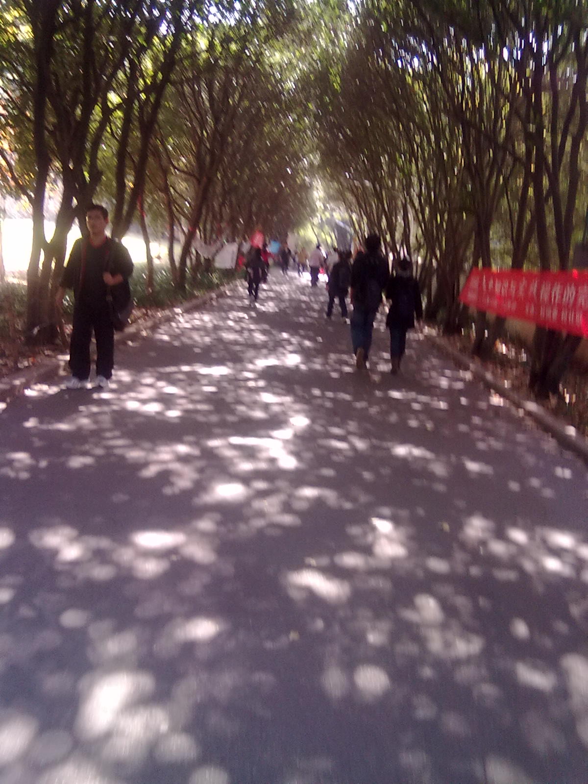20101112248.jpg
