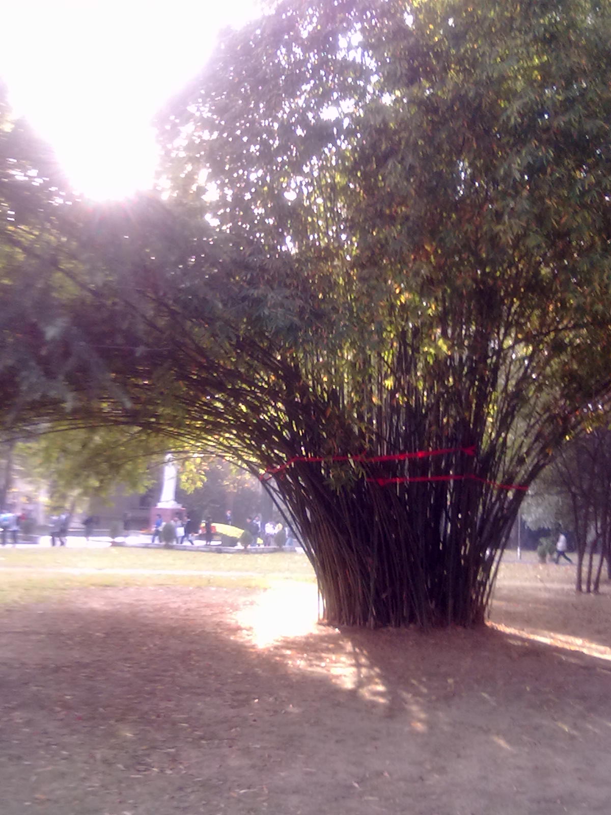 20101111183.jpg