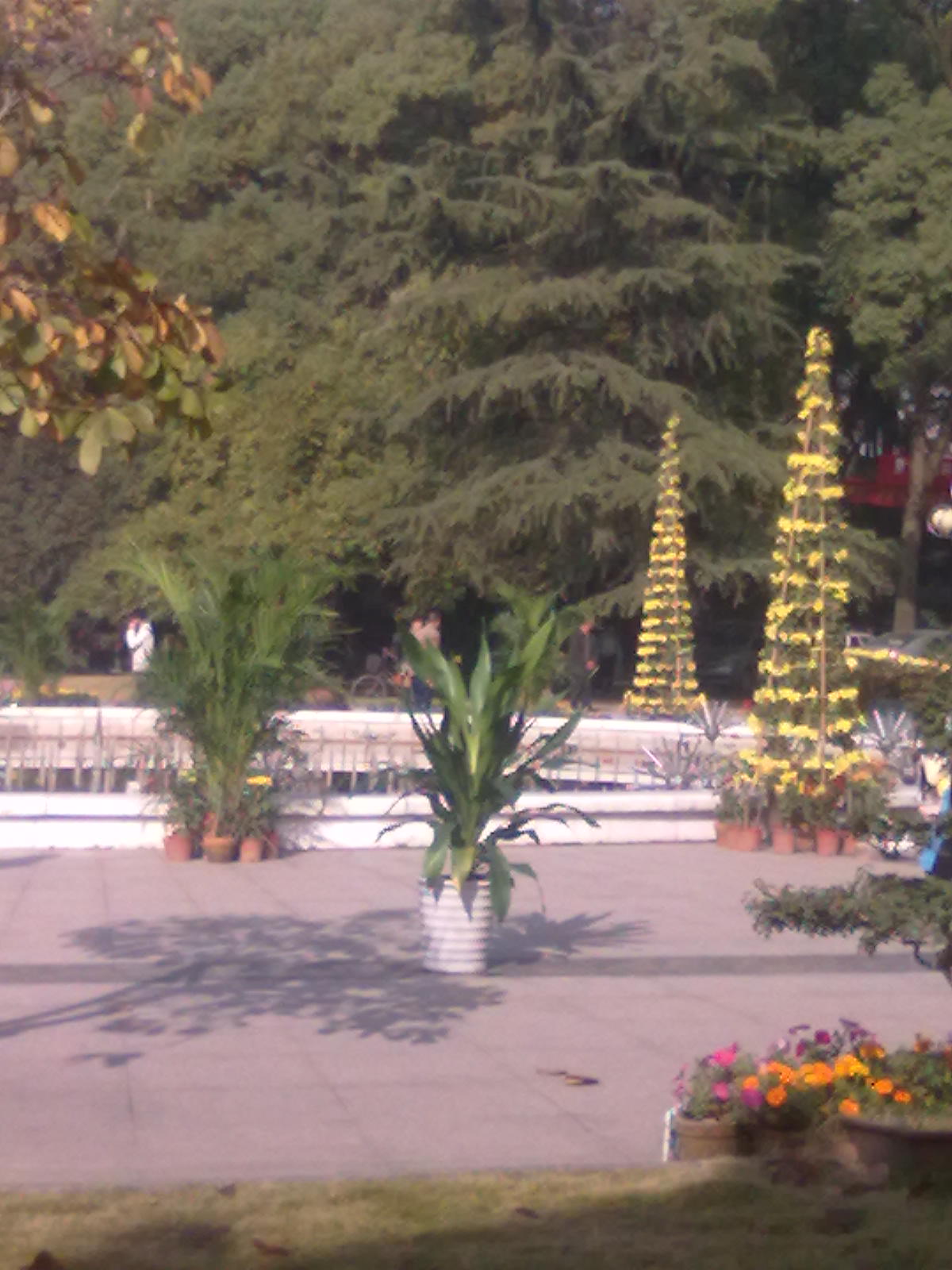 20101112187.jpg
