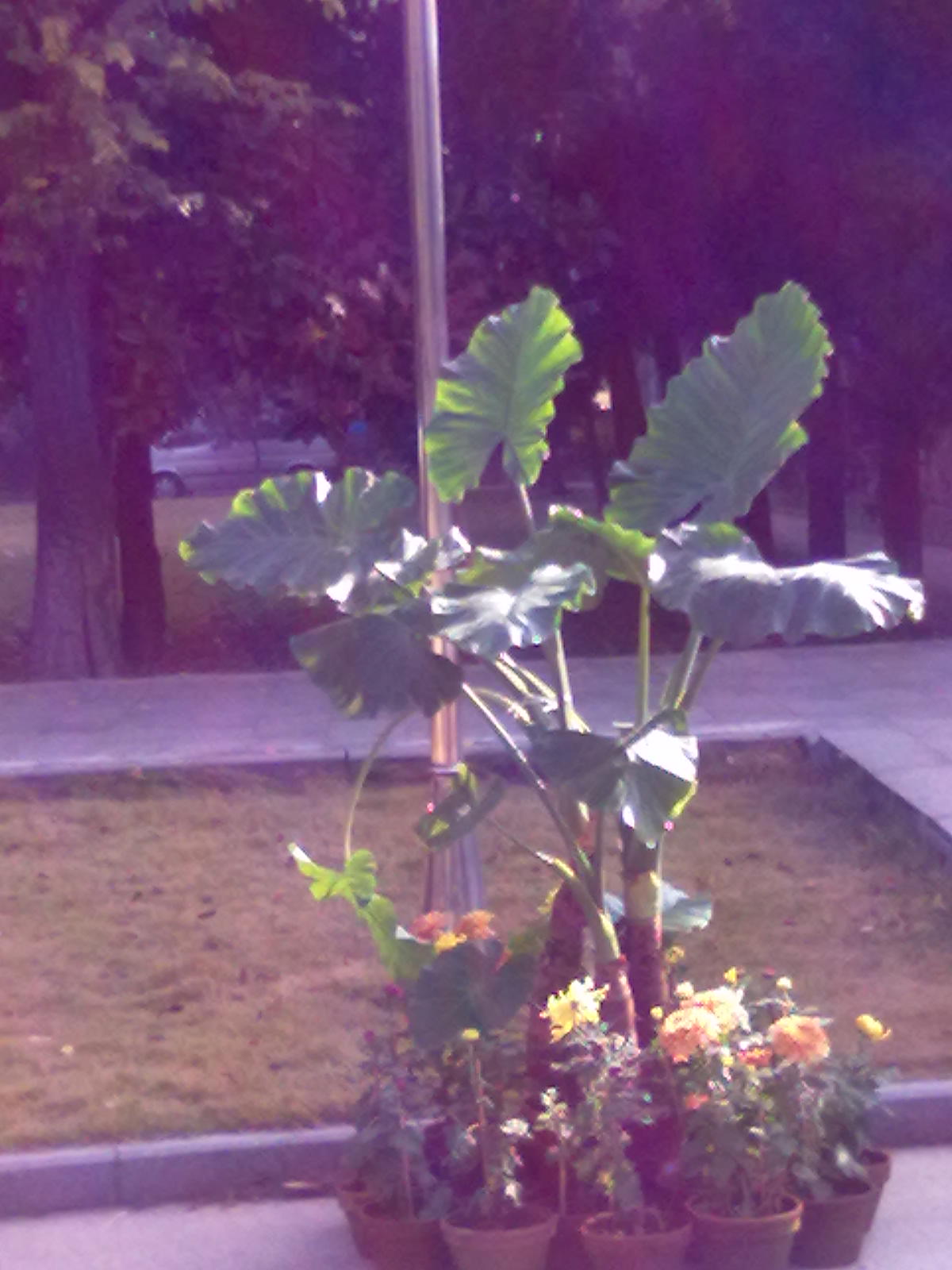 20101112202.jpg