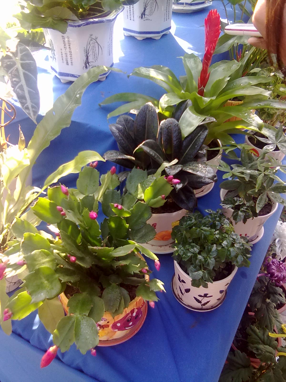 20101112188.jpg