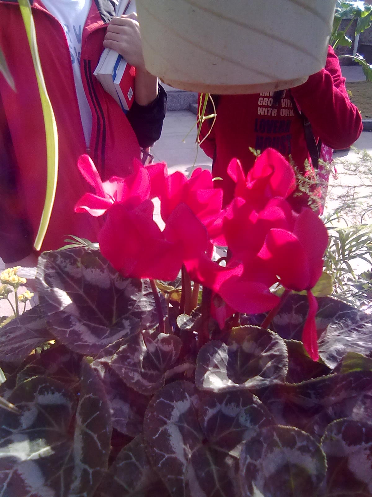 20101112191.jpg