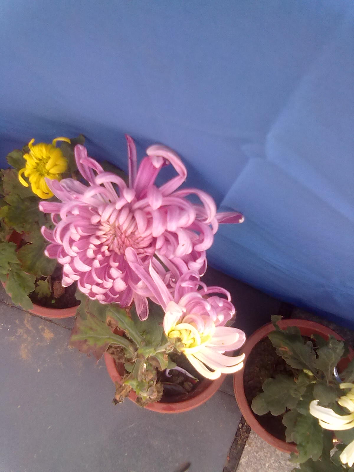20101112197.jpg