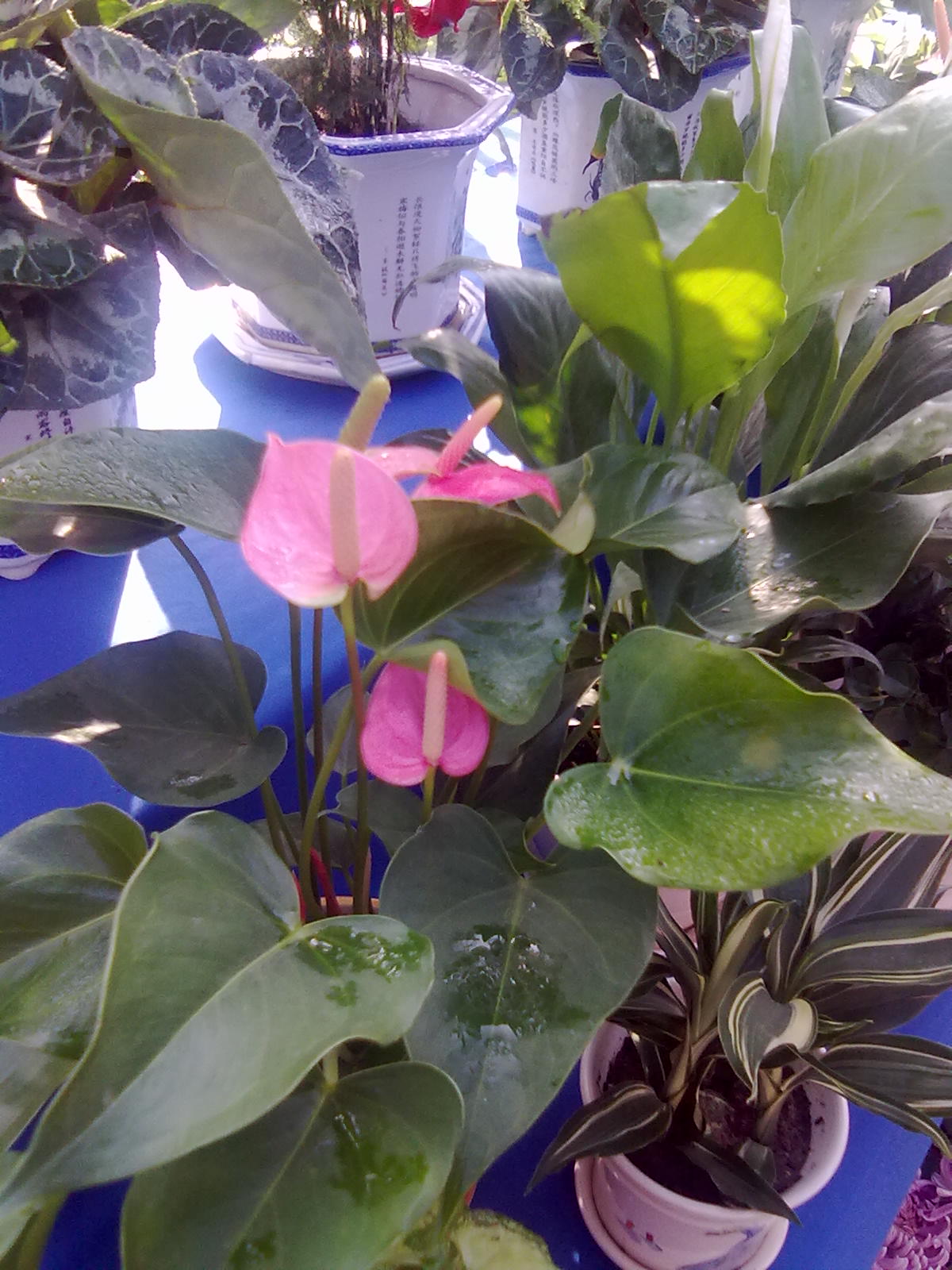 20101112190.jpg