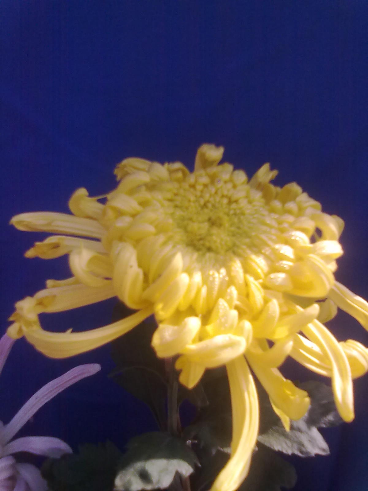 20101112194.jpg