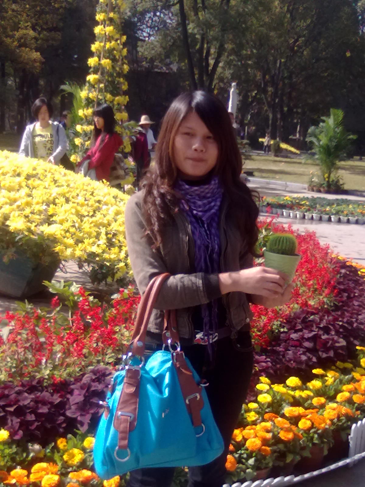 20101112216.jpg