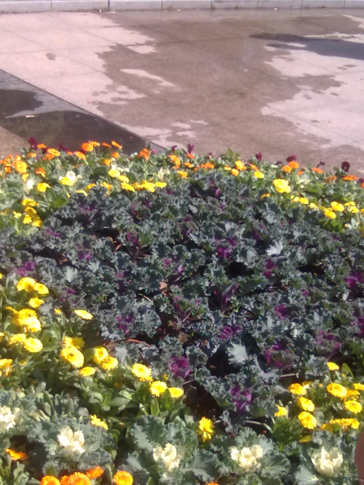 20101112217.jpg