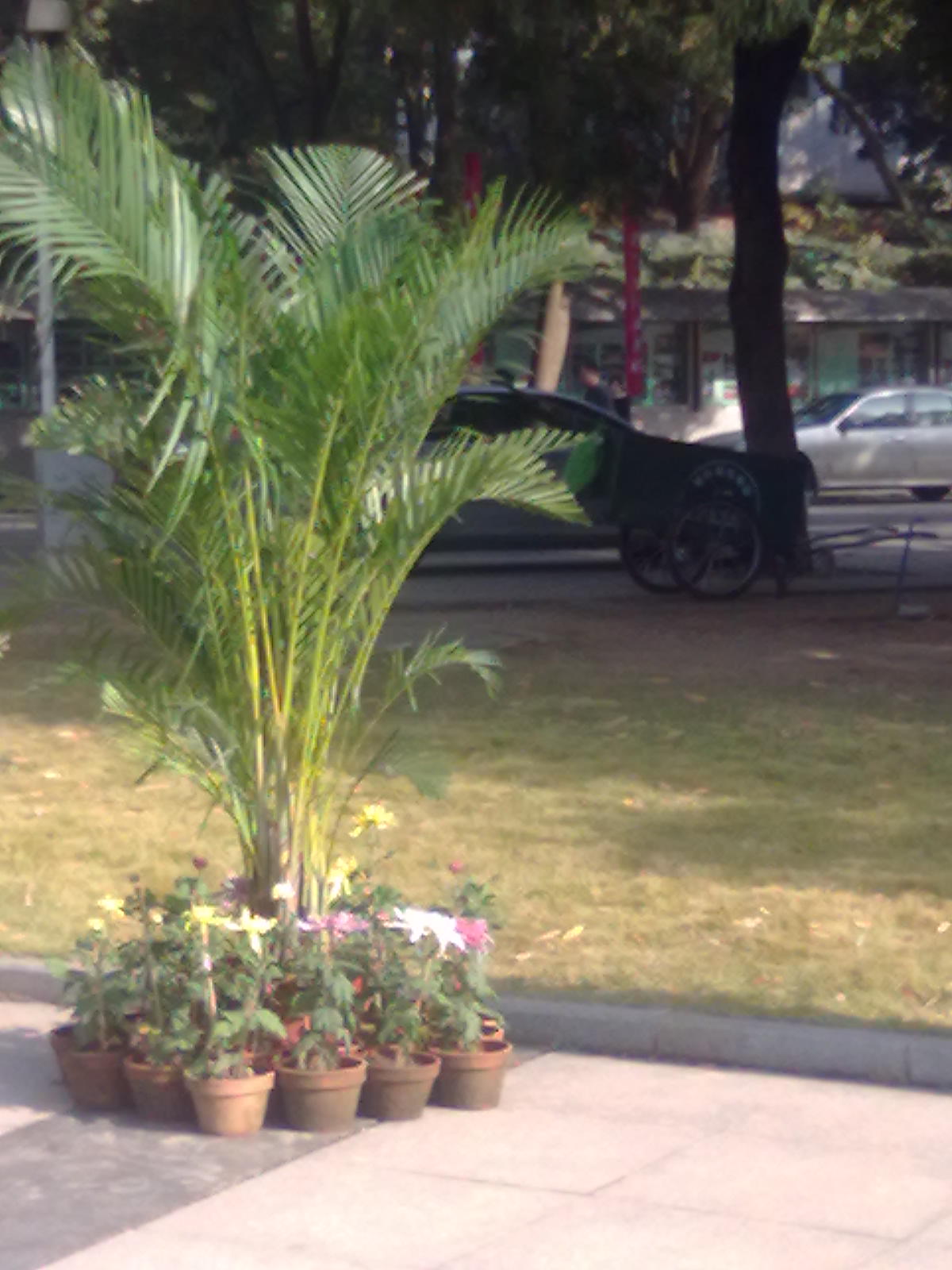 20101112203.jpg