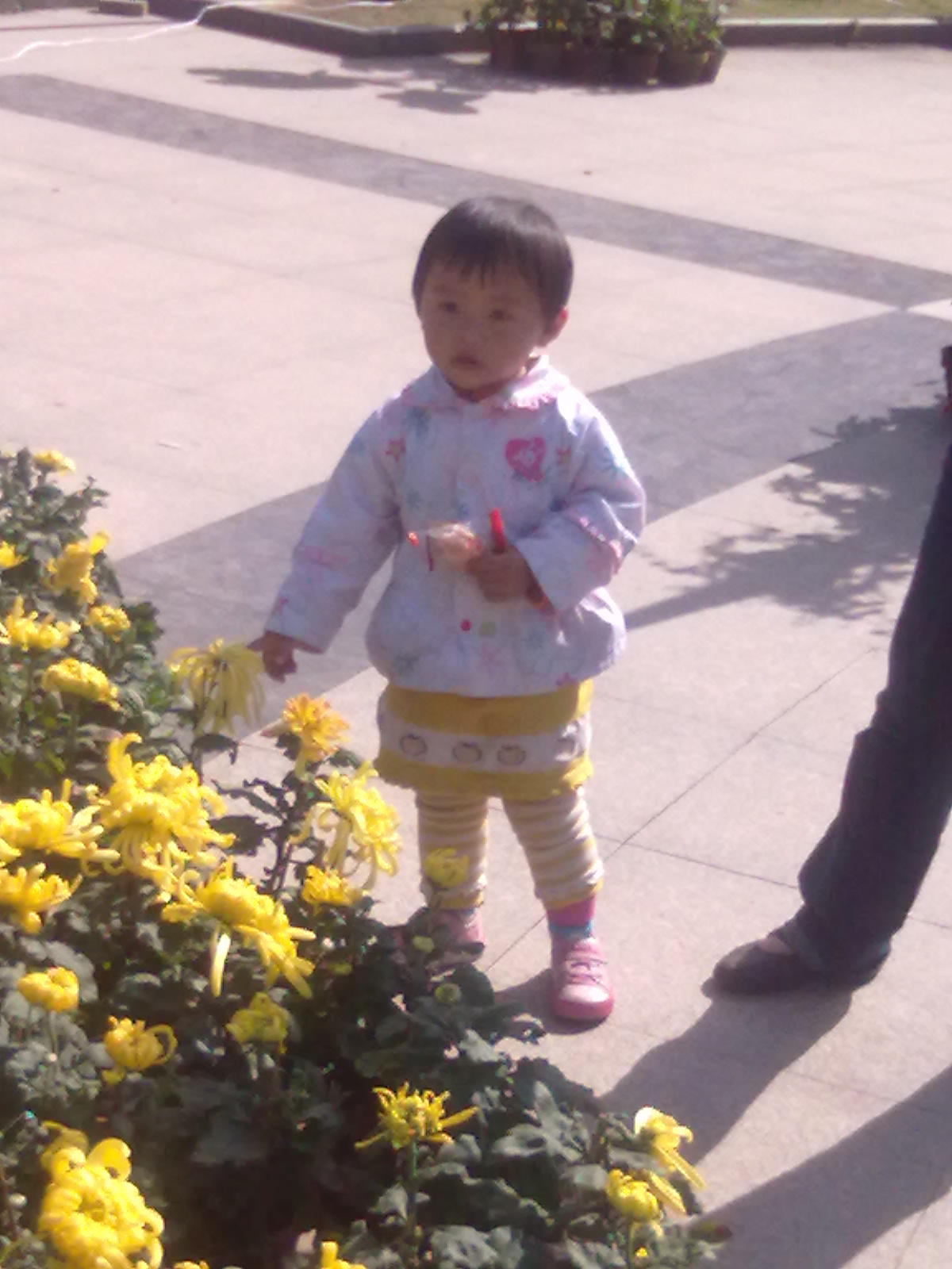 20101112220.jpg