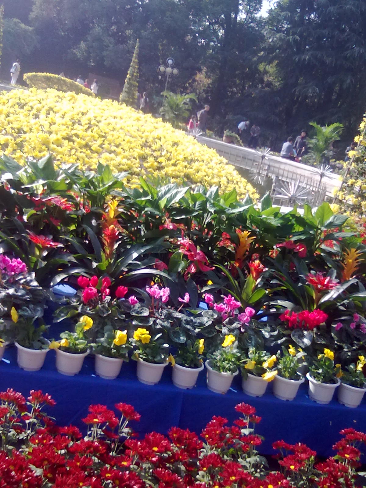 20101112204.jpg