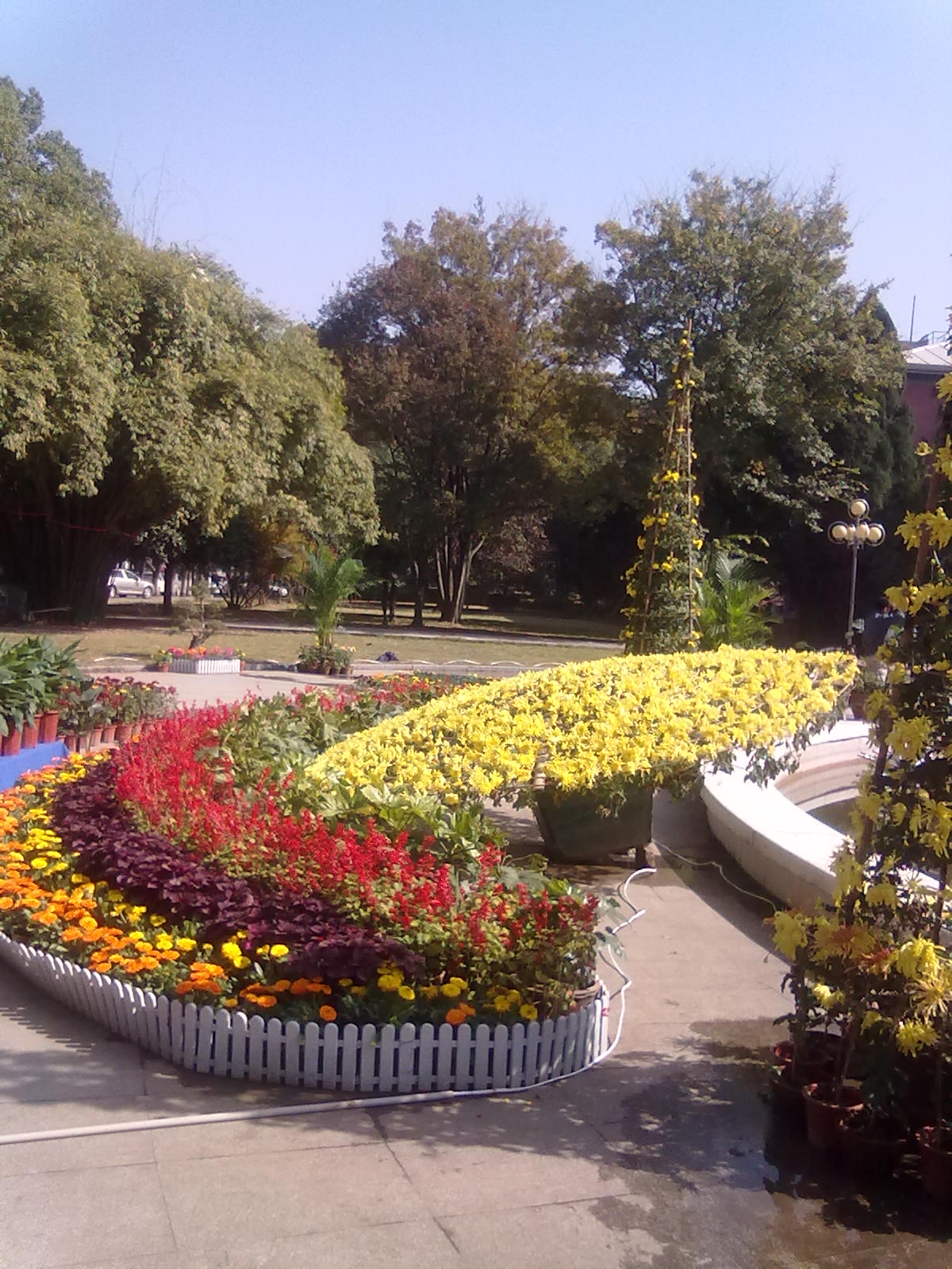 20101112207.jpg