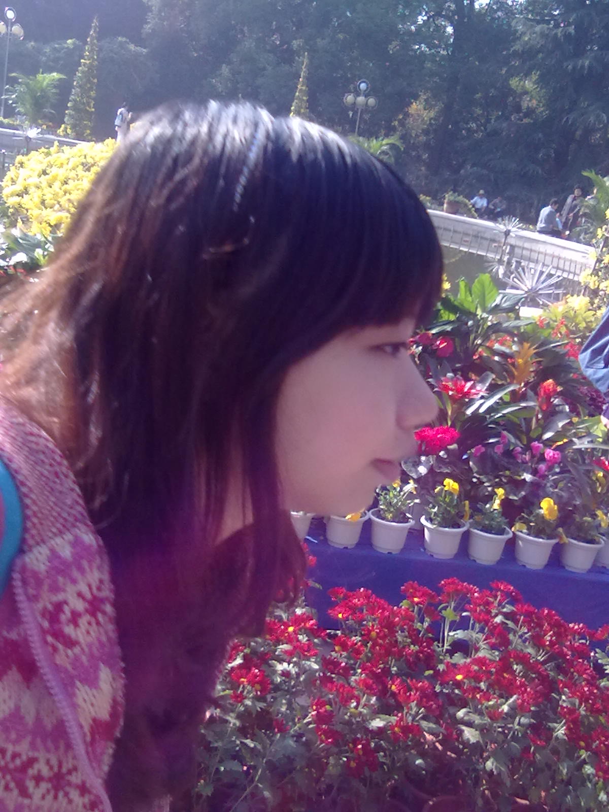 20101112205.jpg
