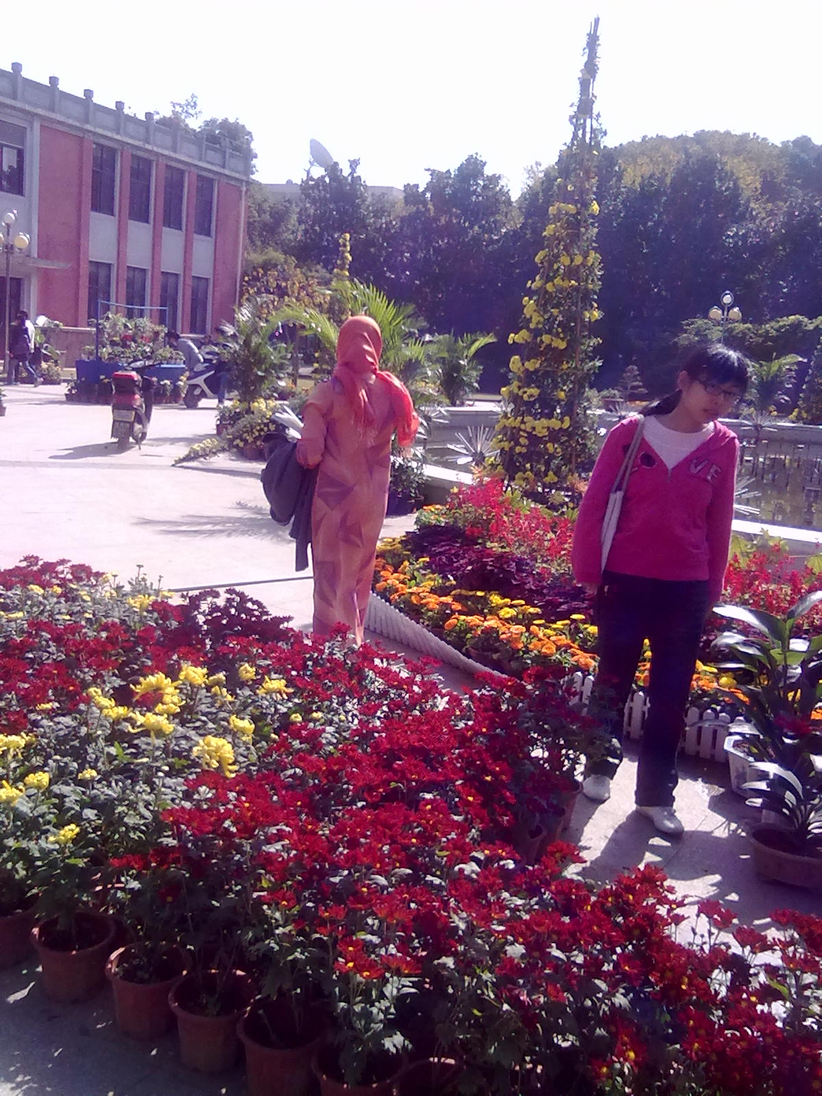20101112214.jpg