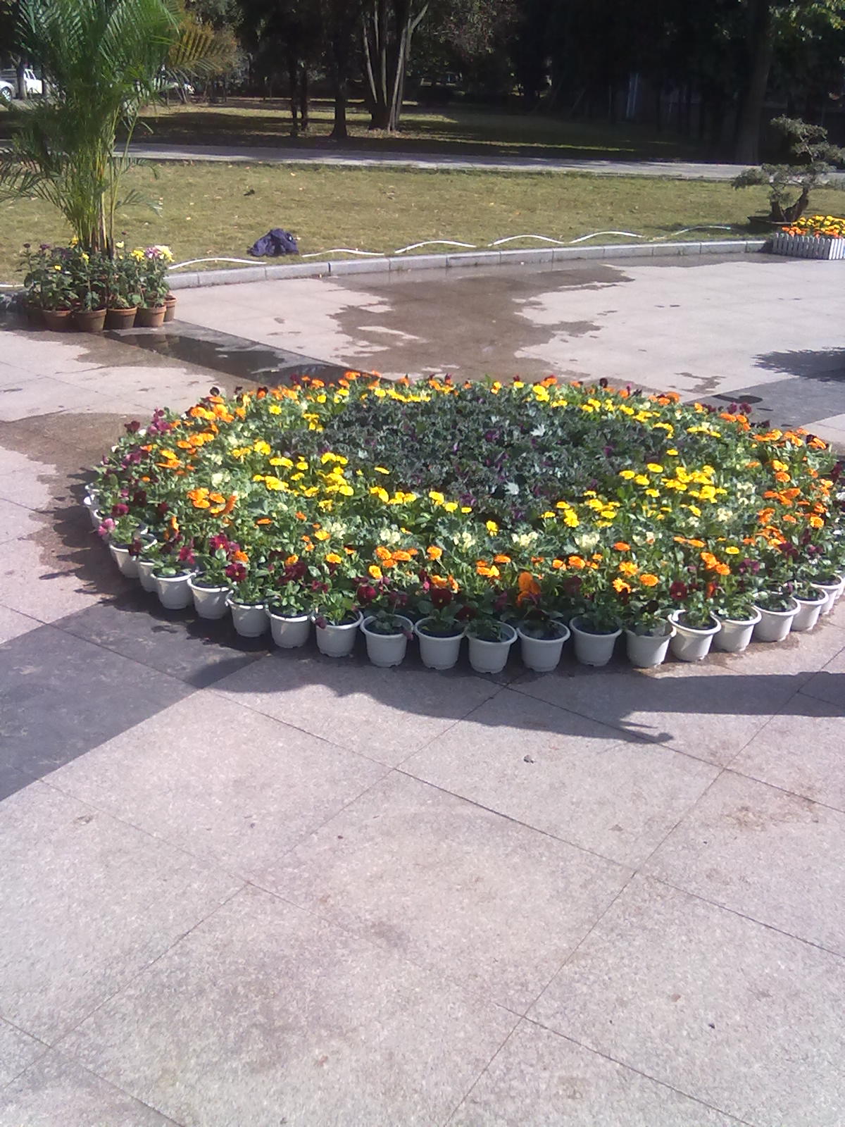 20101112218.jpg