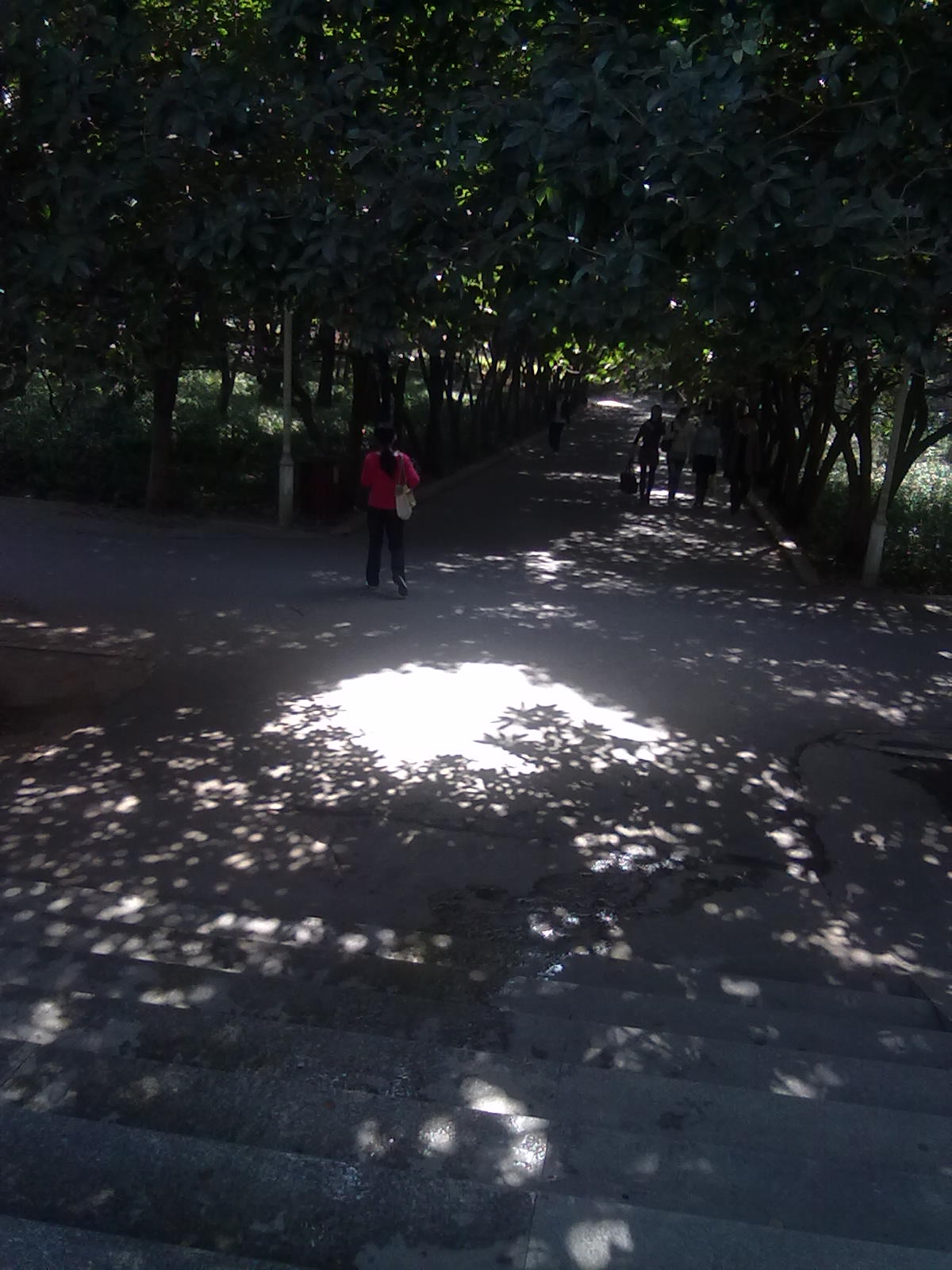20101112239.jpg