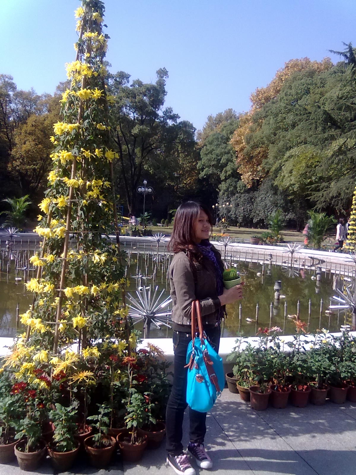 20101112222.jpg