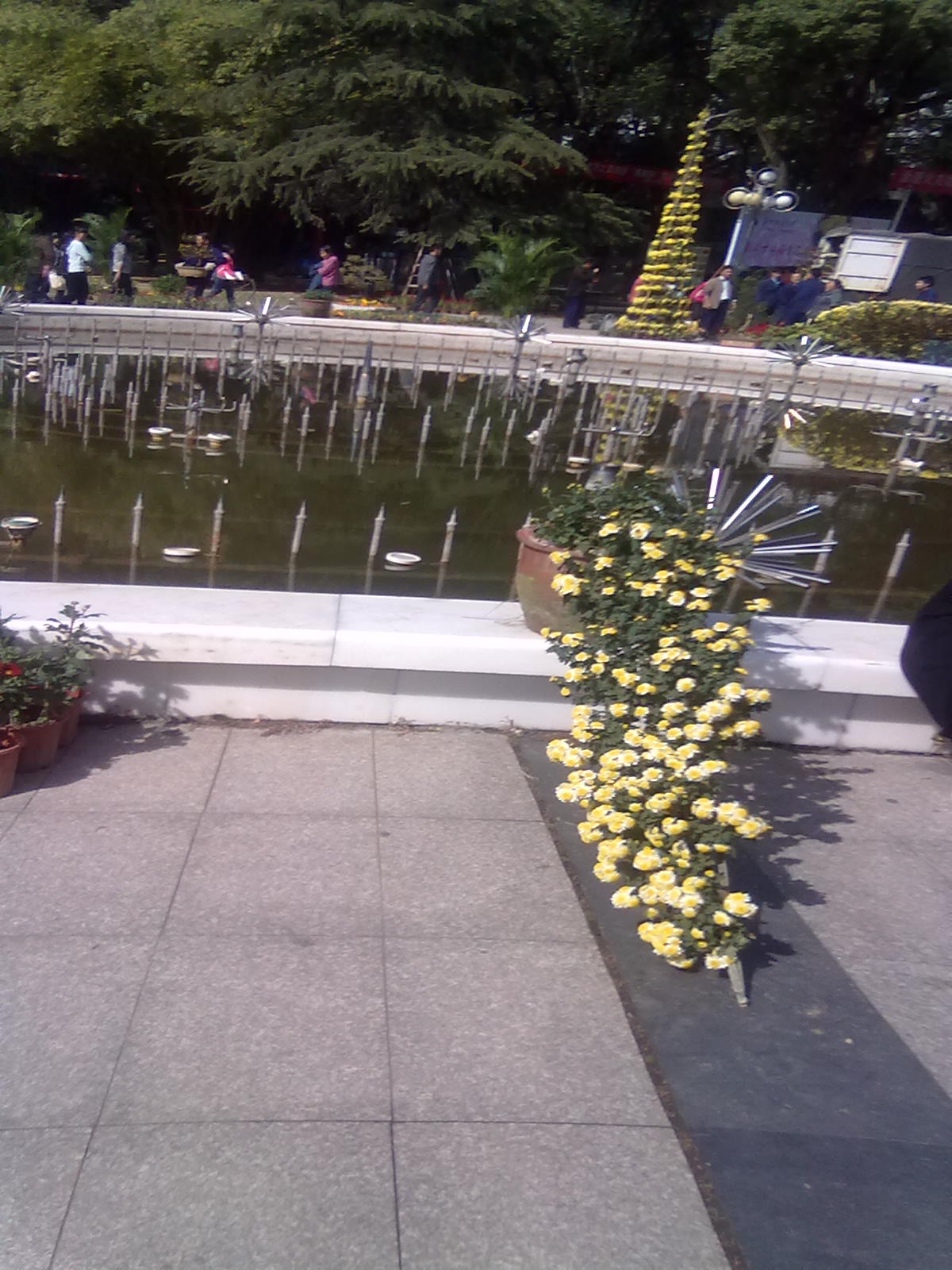 20101112224.jpg
