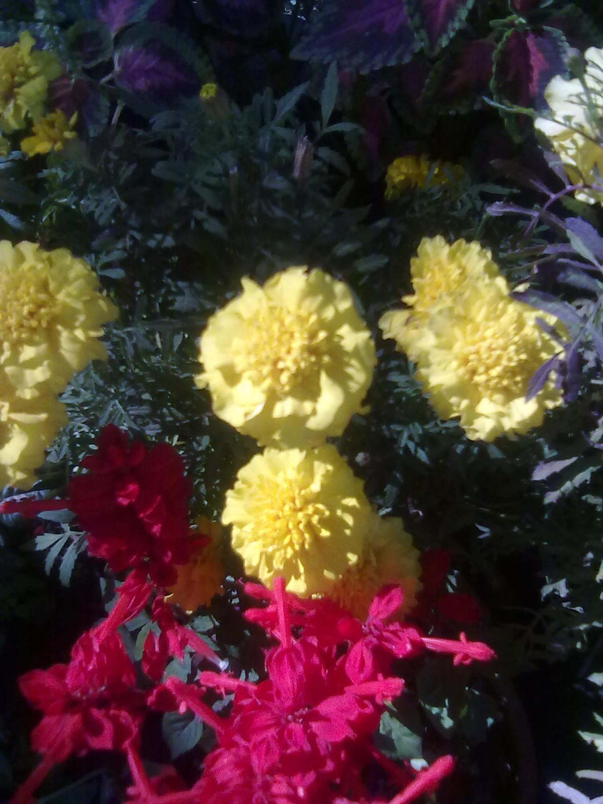 20101112232.jpg