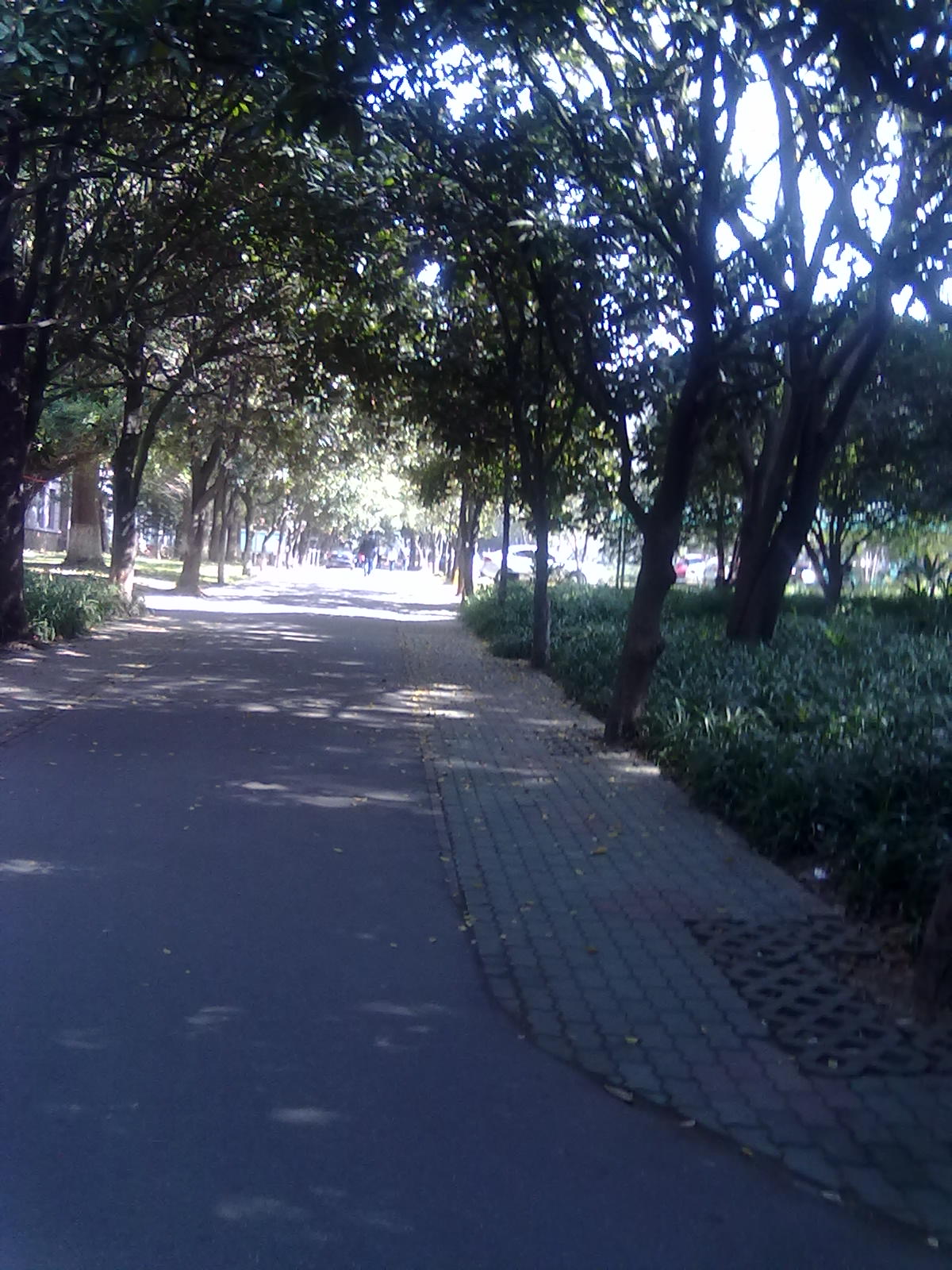 20101112240.jpg