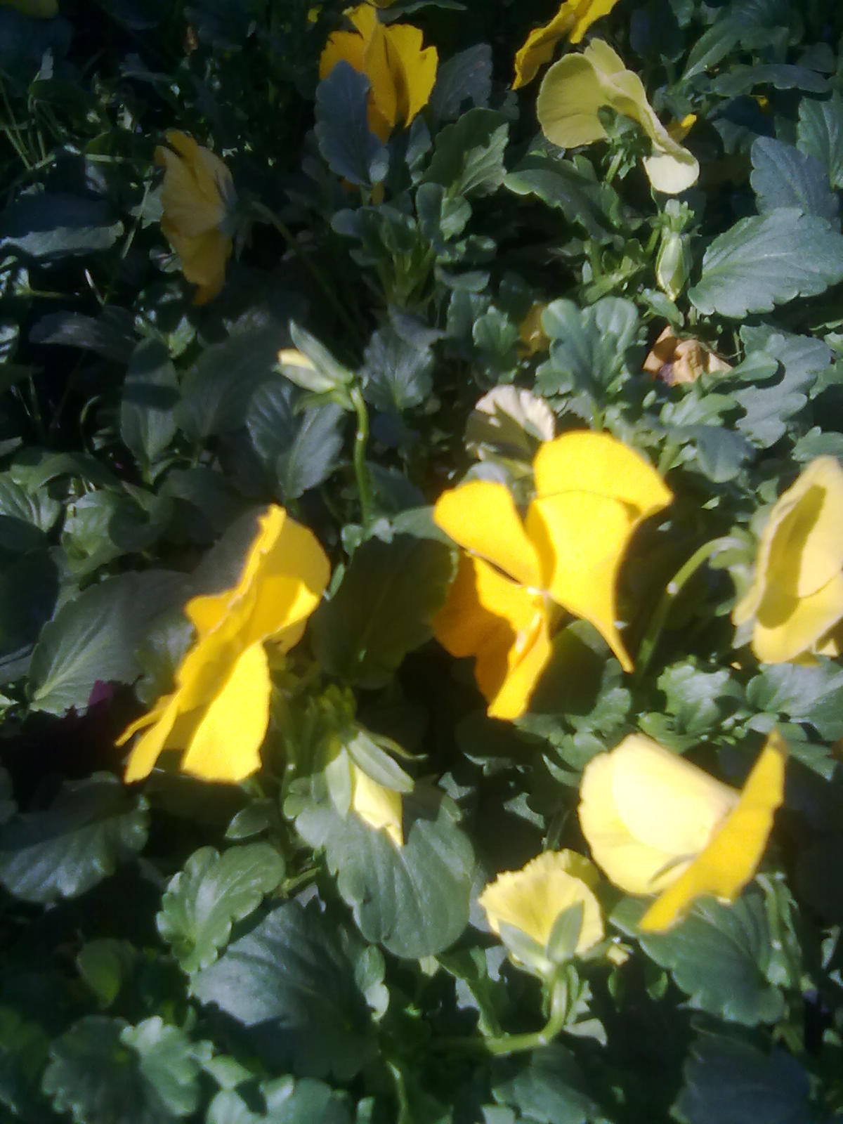 20101112234.jpg