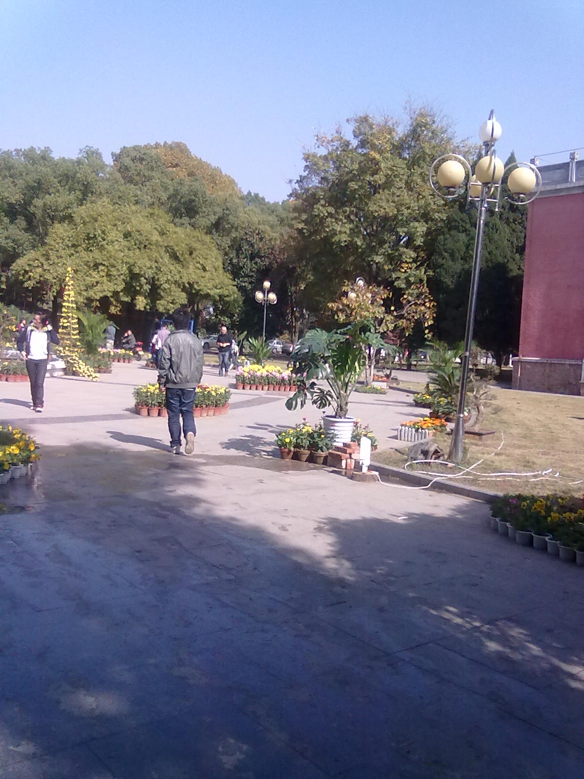 20101112238.jpg