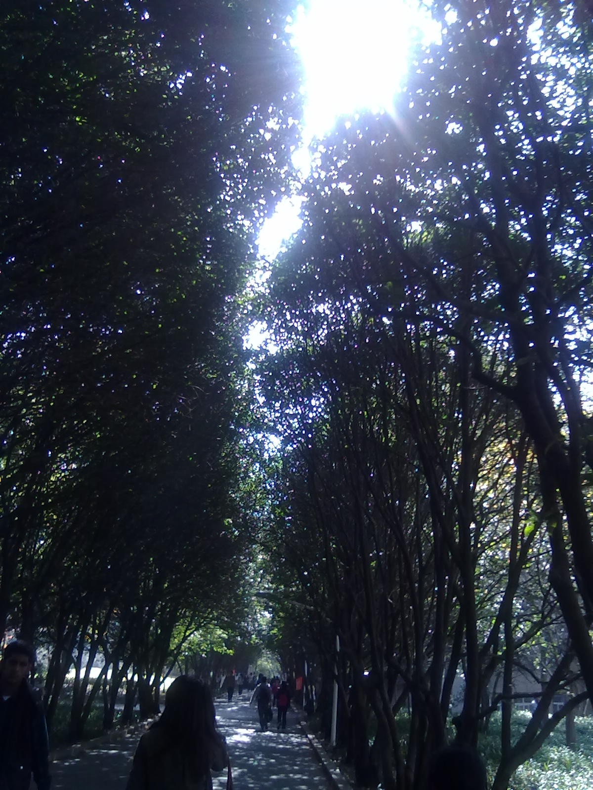 20101112245.jpg