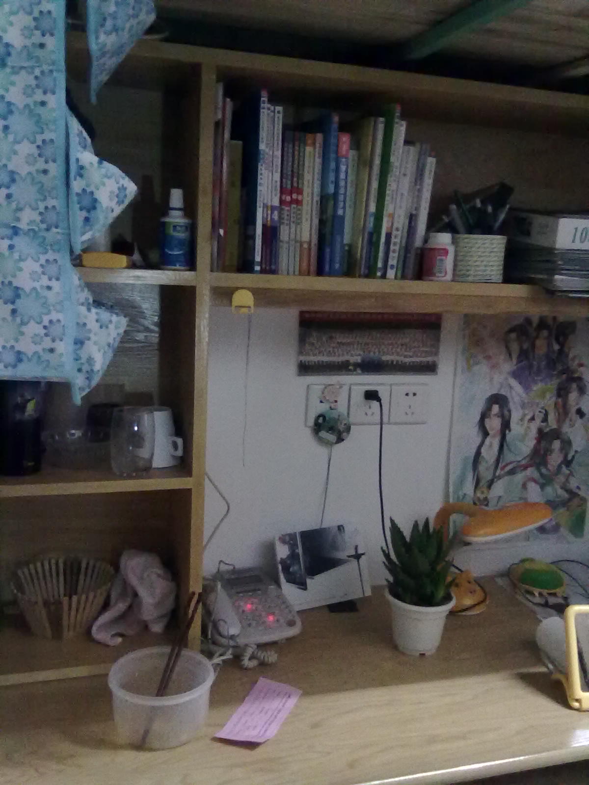 20101112283.jpg