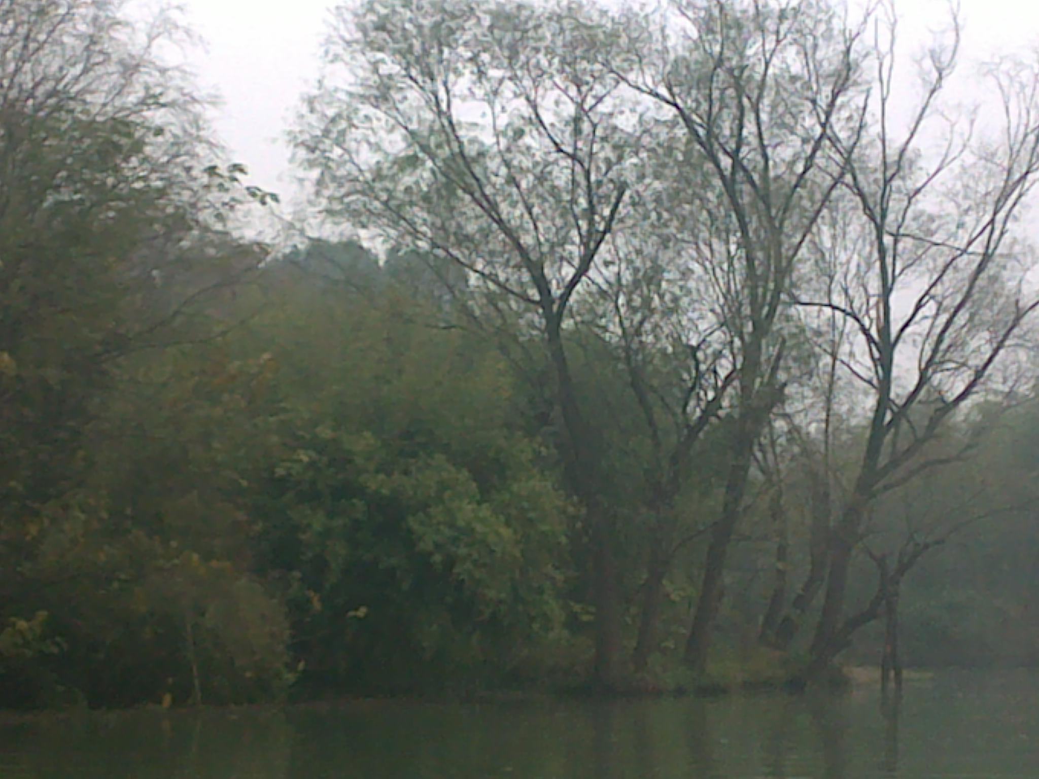 20101114146.jpg