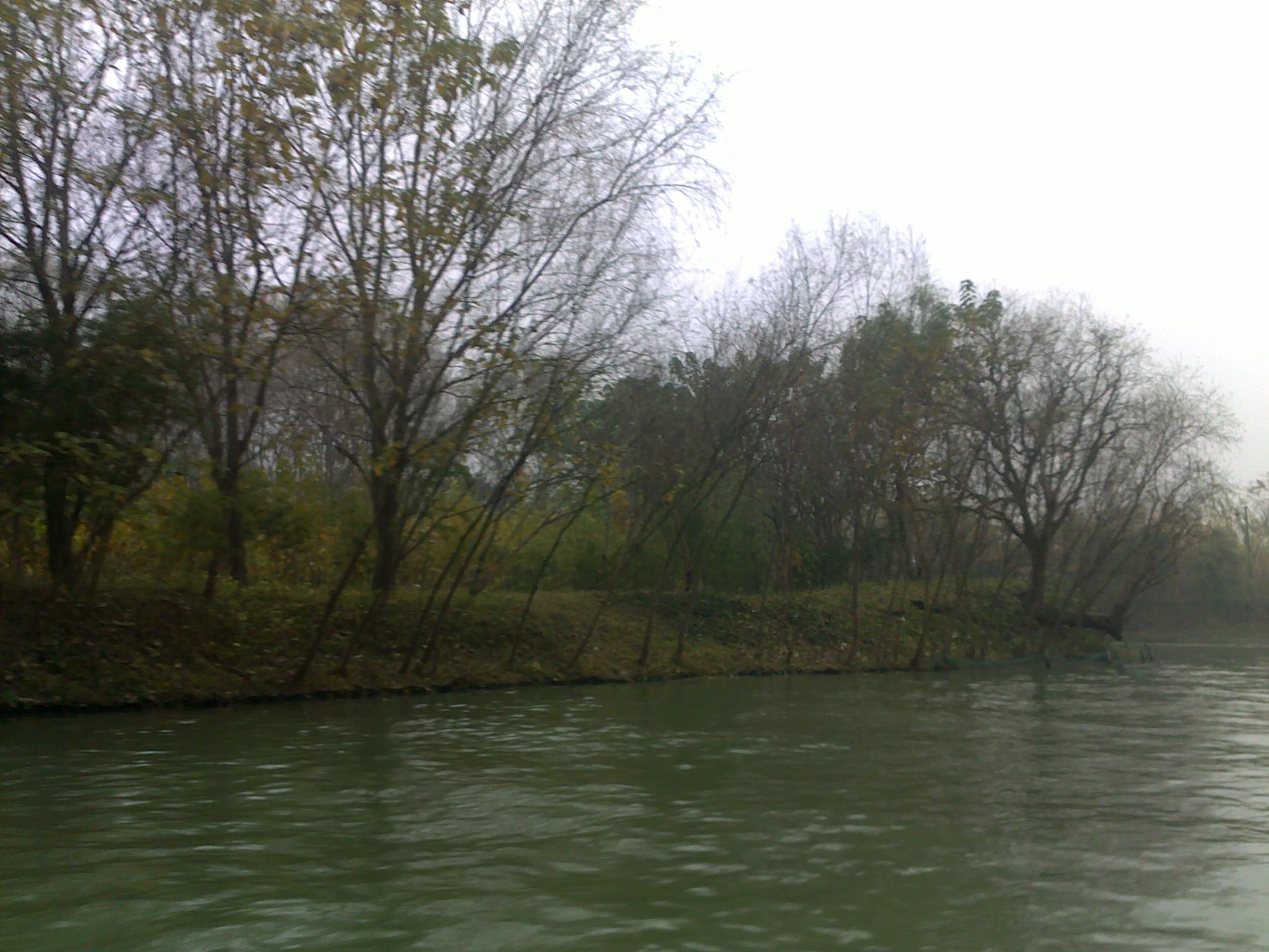 20101114133.jpg