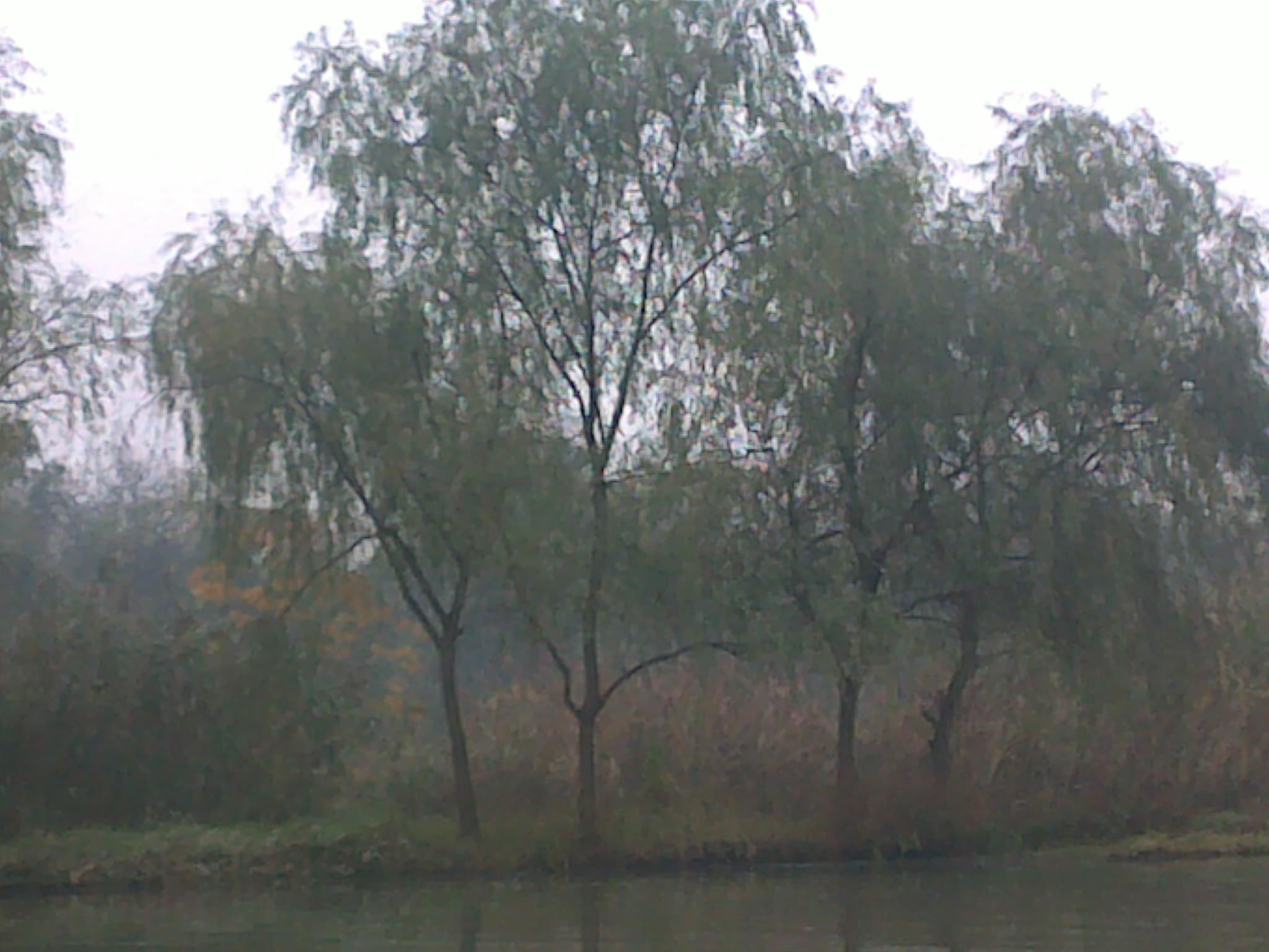 20101114149.jpg