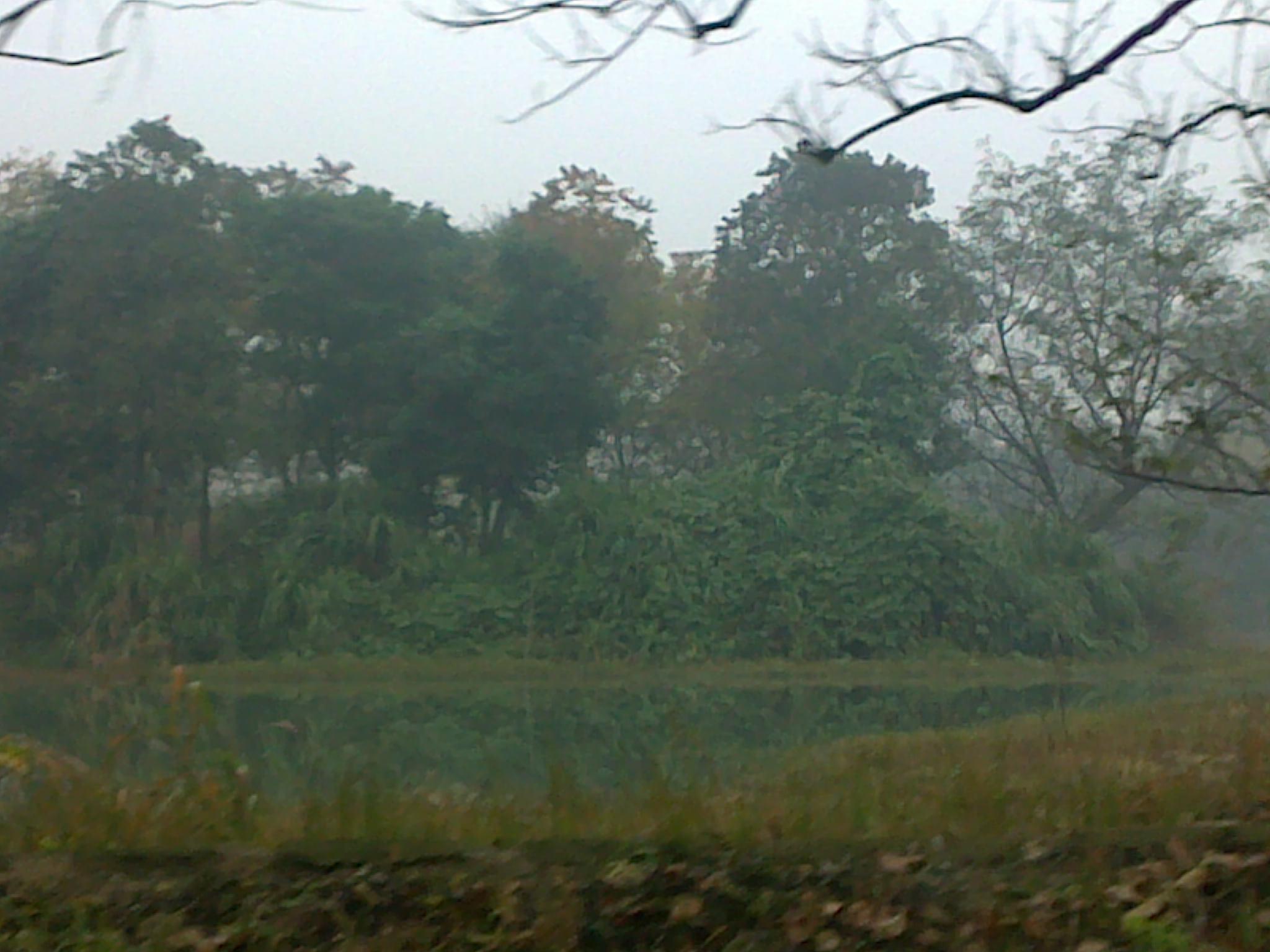 20101114137.jpg