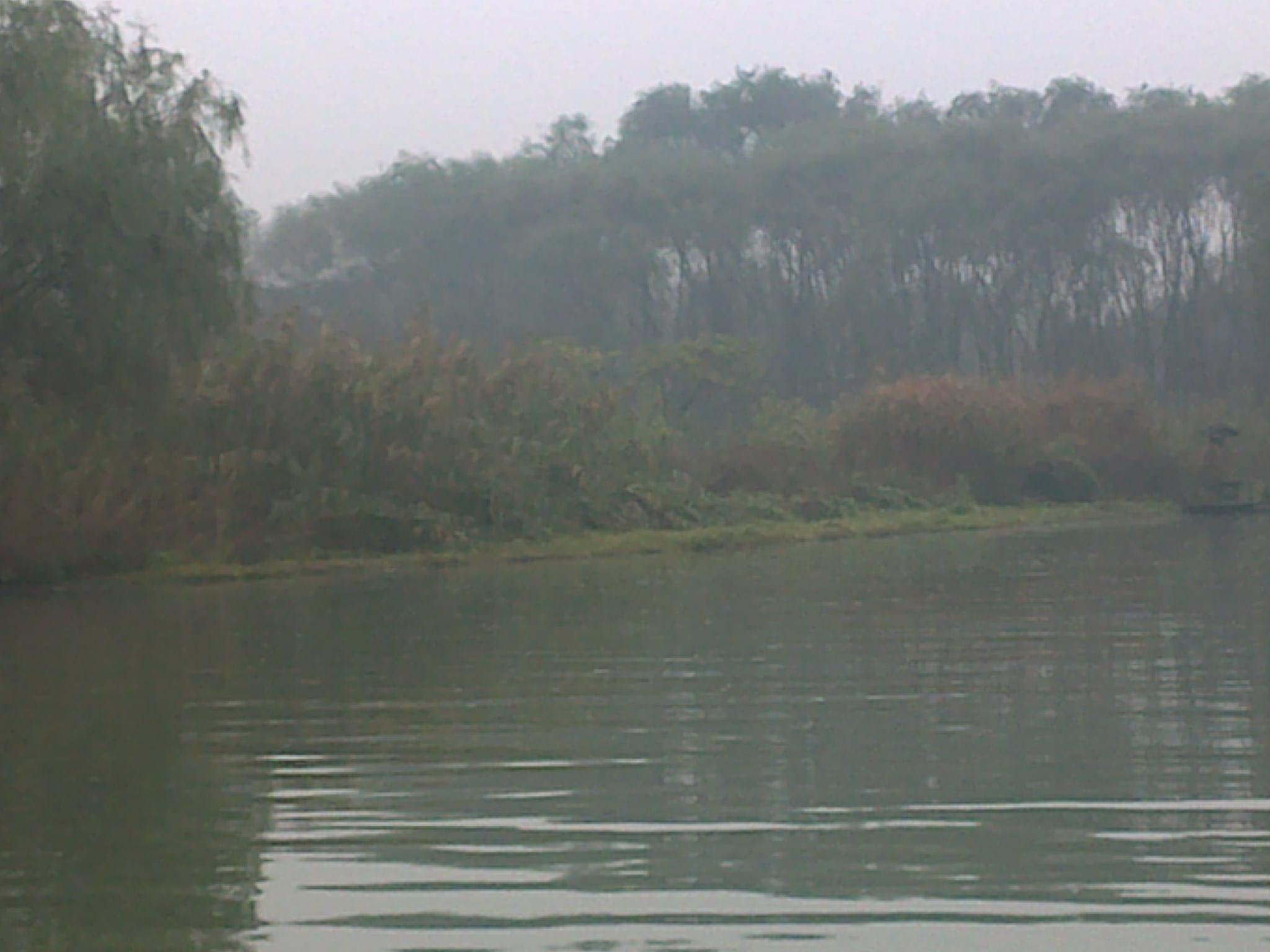 20101114148.jpg