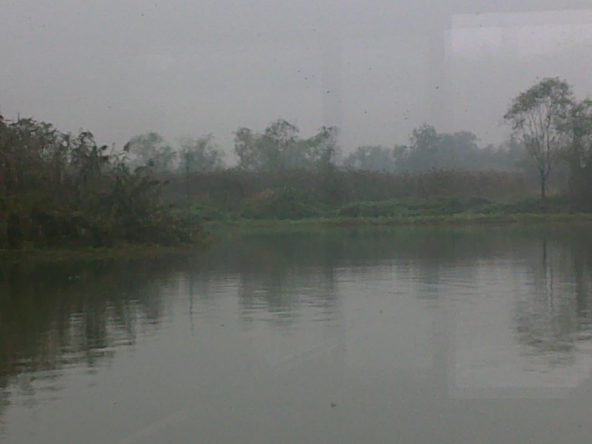 20101114151.jpg
