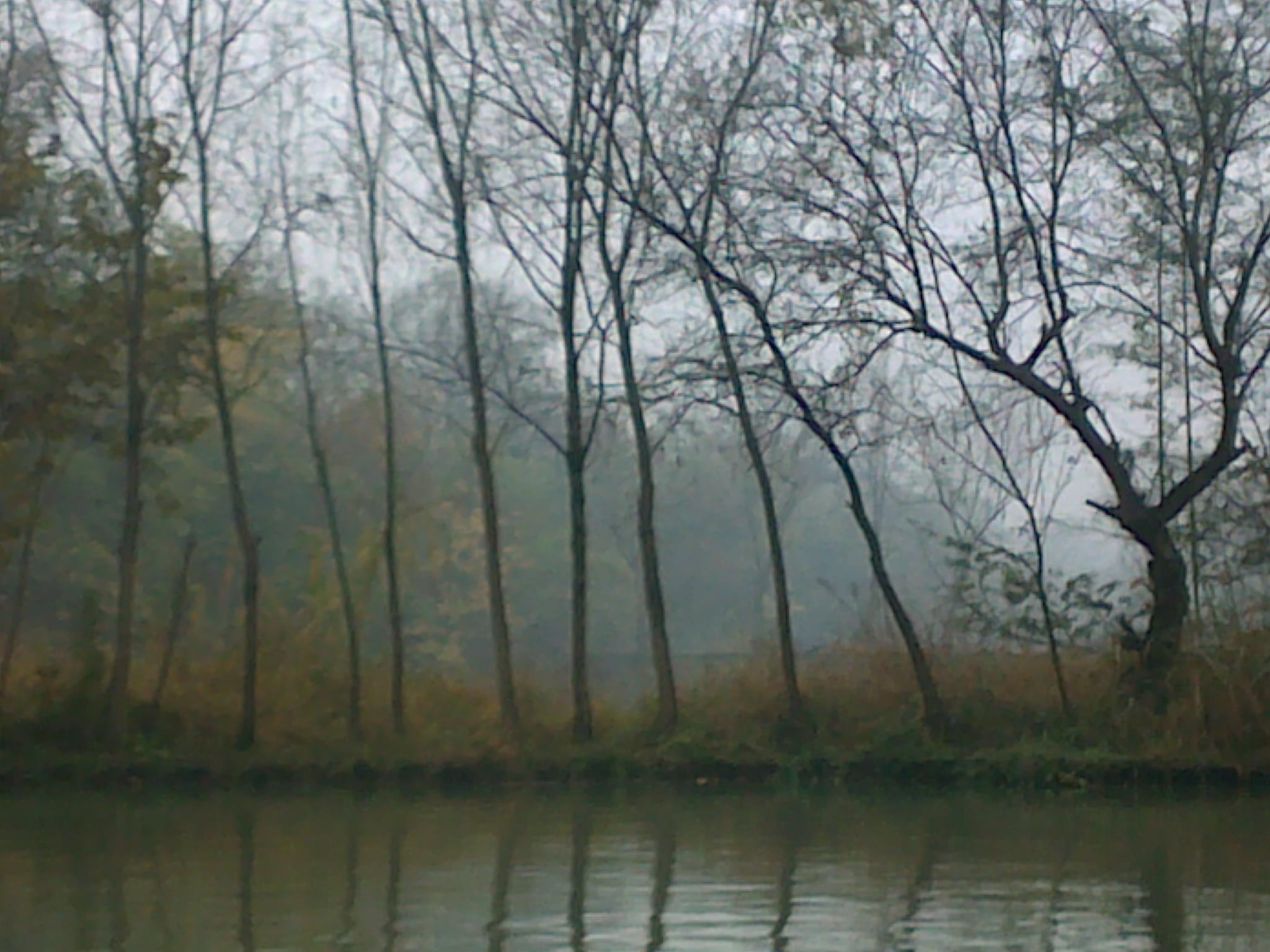 20101114141.jpg