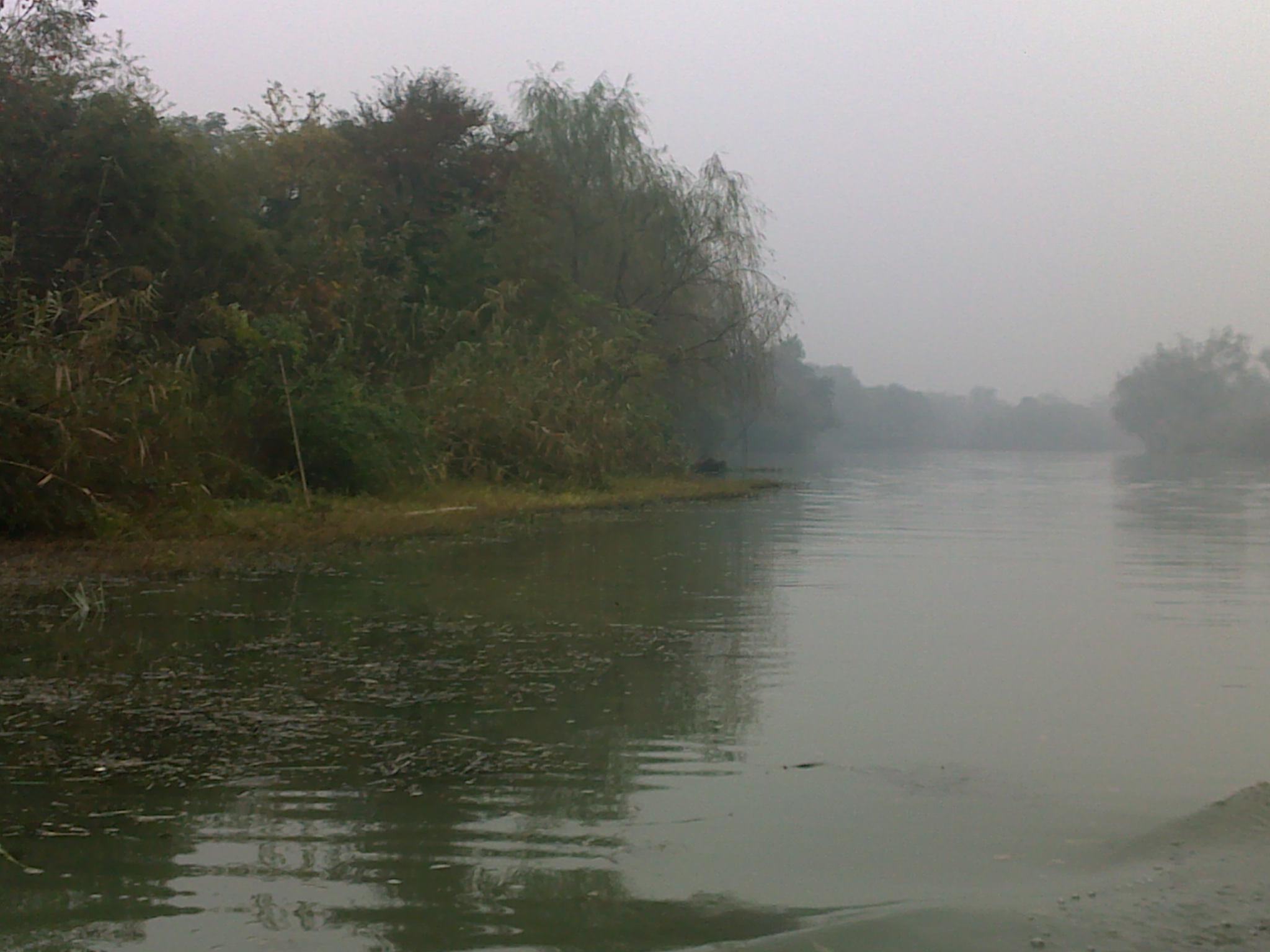 20101114144.jpg