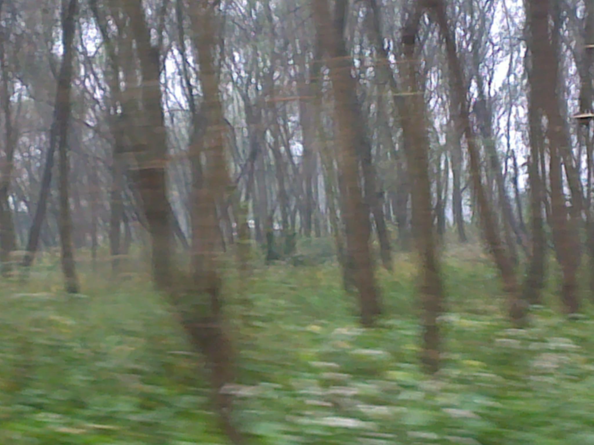 20101114153.jpg