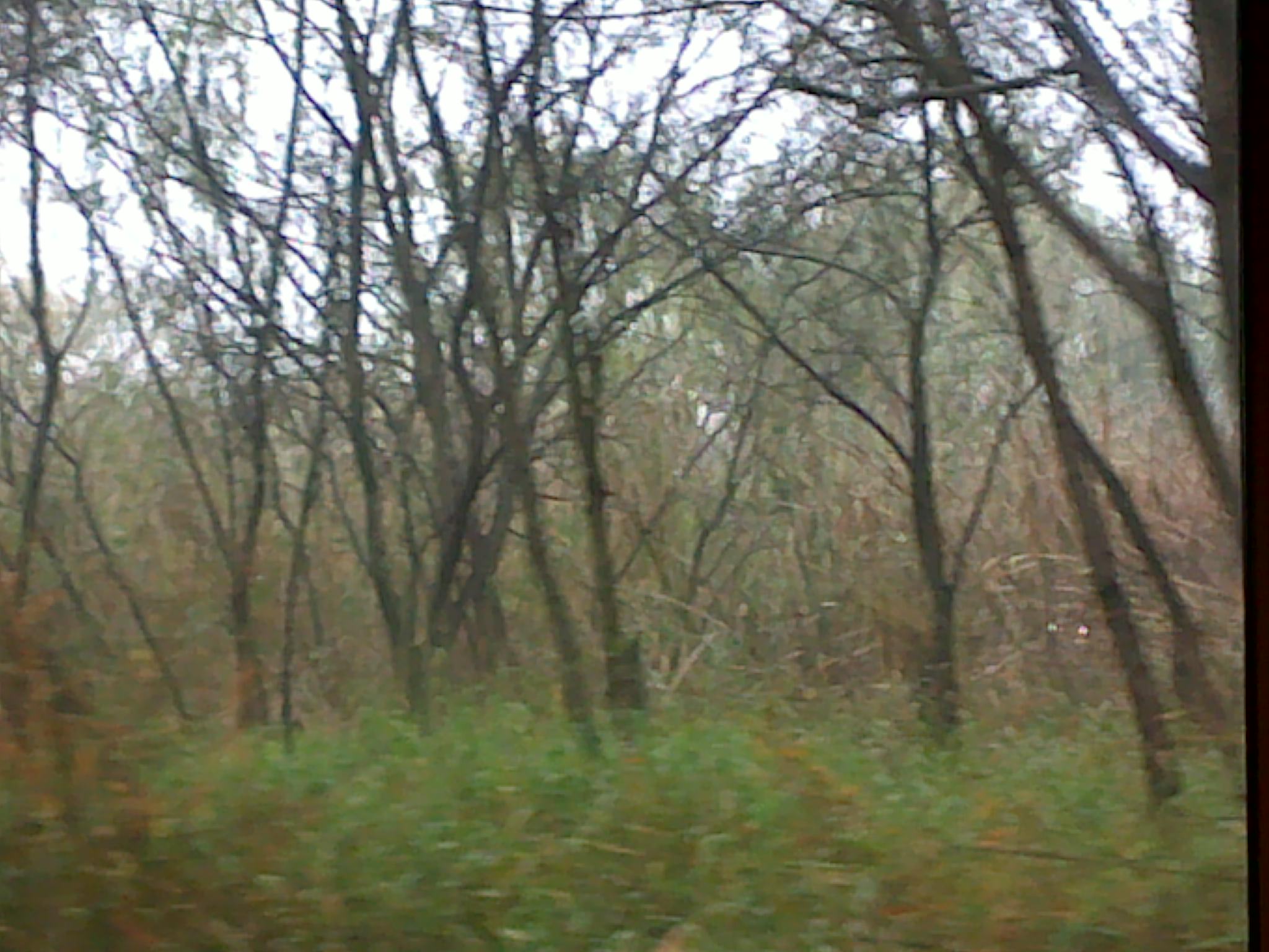 20101114155.jpg