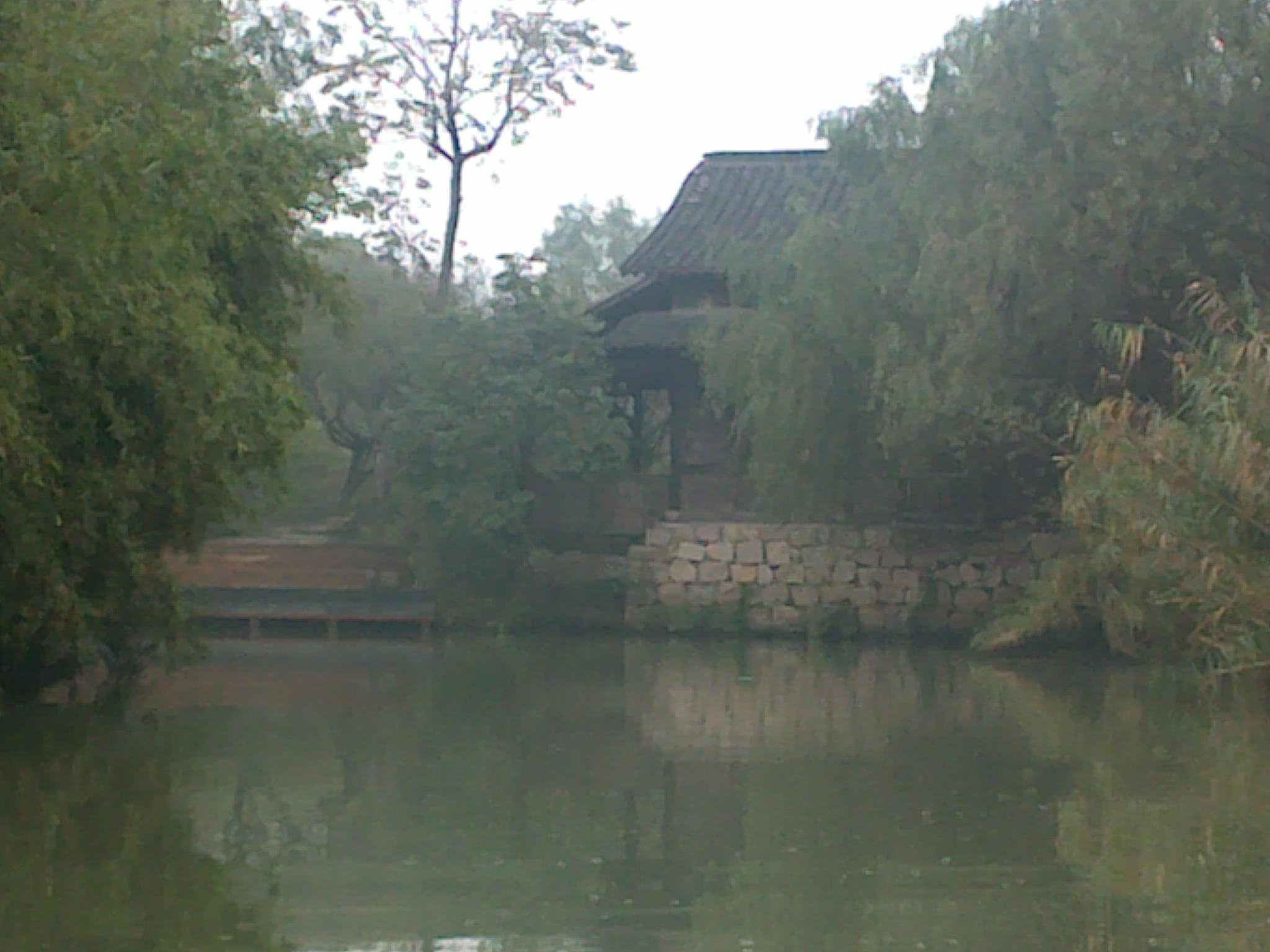 20101114164.jpg